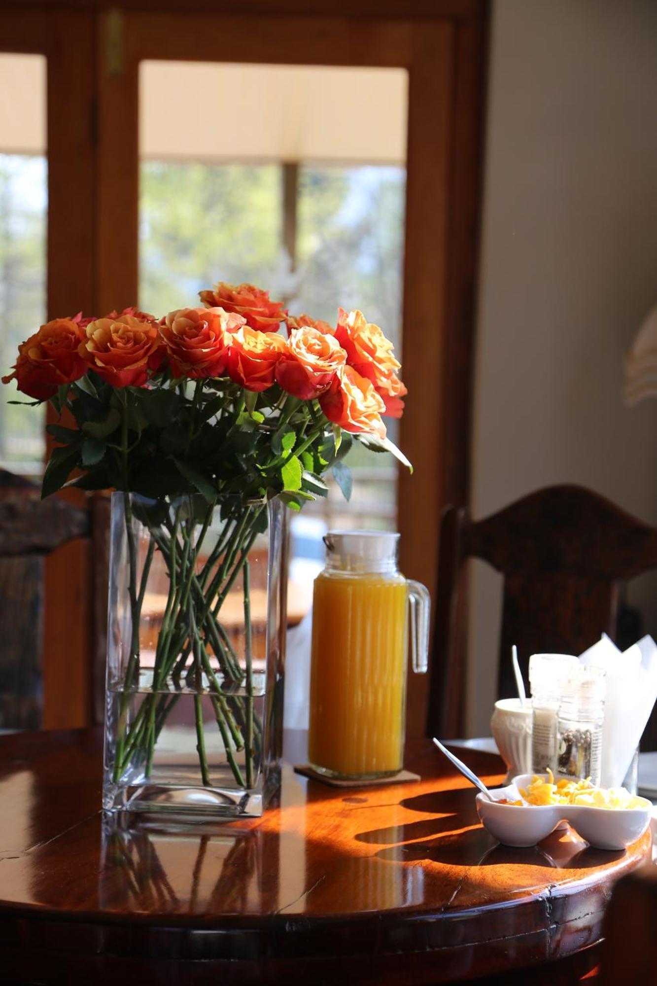 Mt Horeb Manor Clarens Bagian luar foto