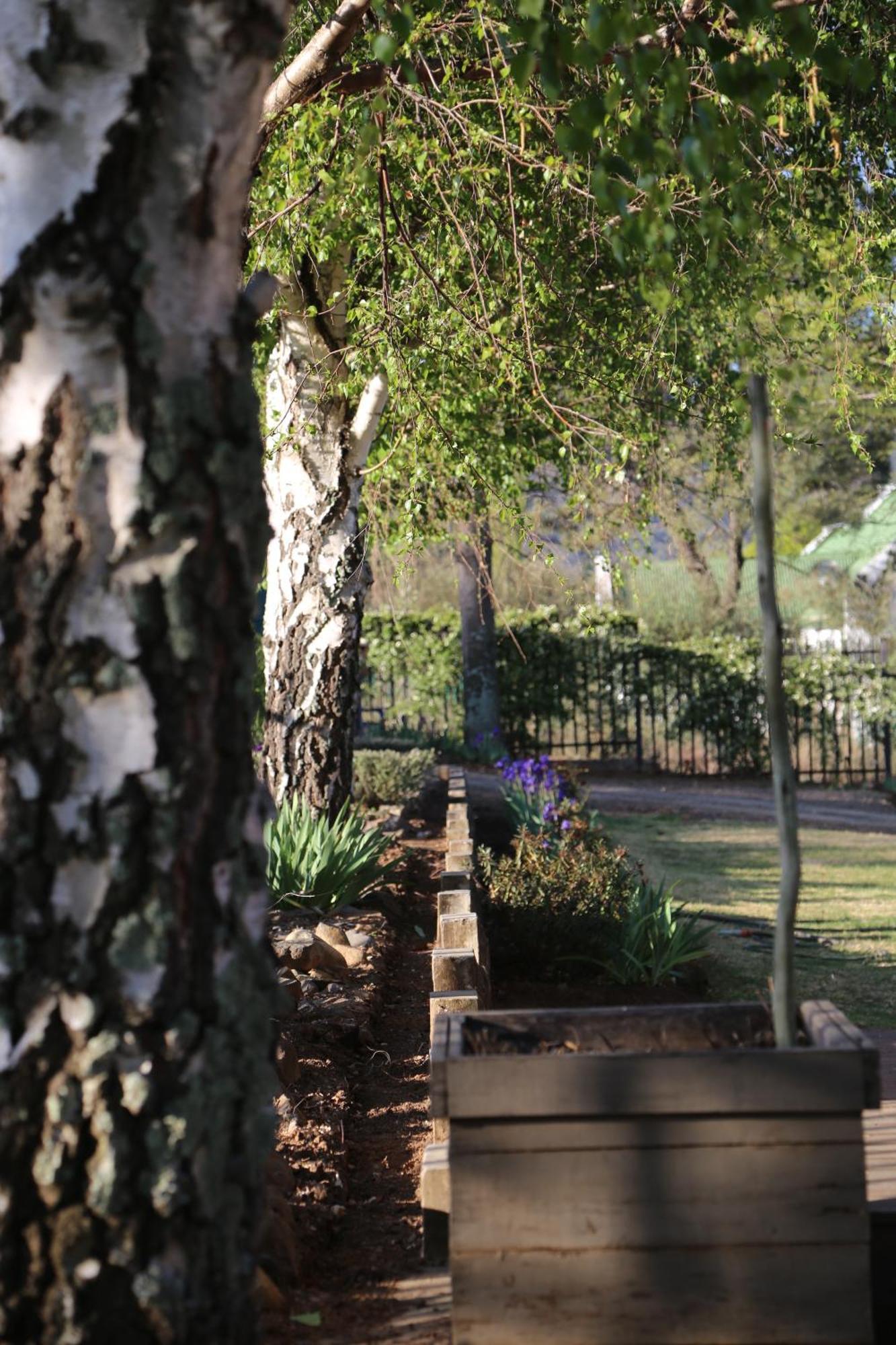 Mt Horeb Manor Clarens Bagian luar foto